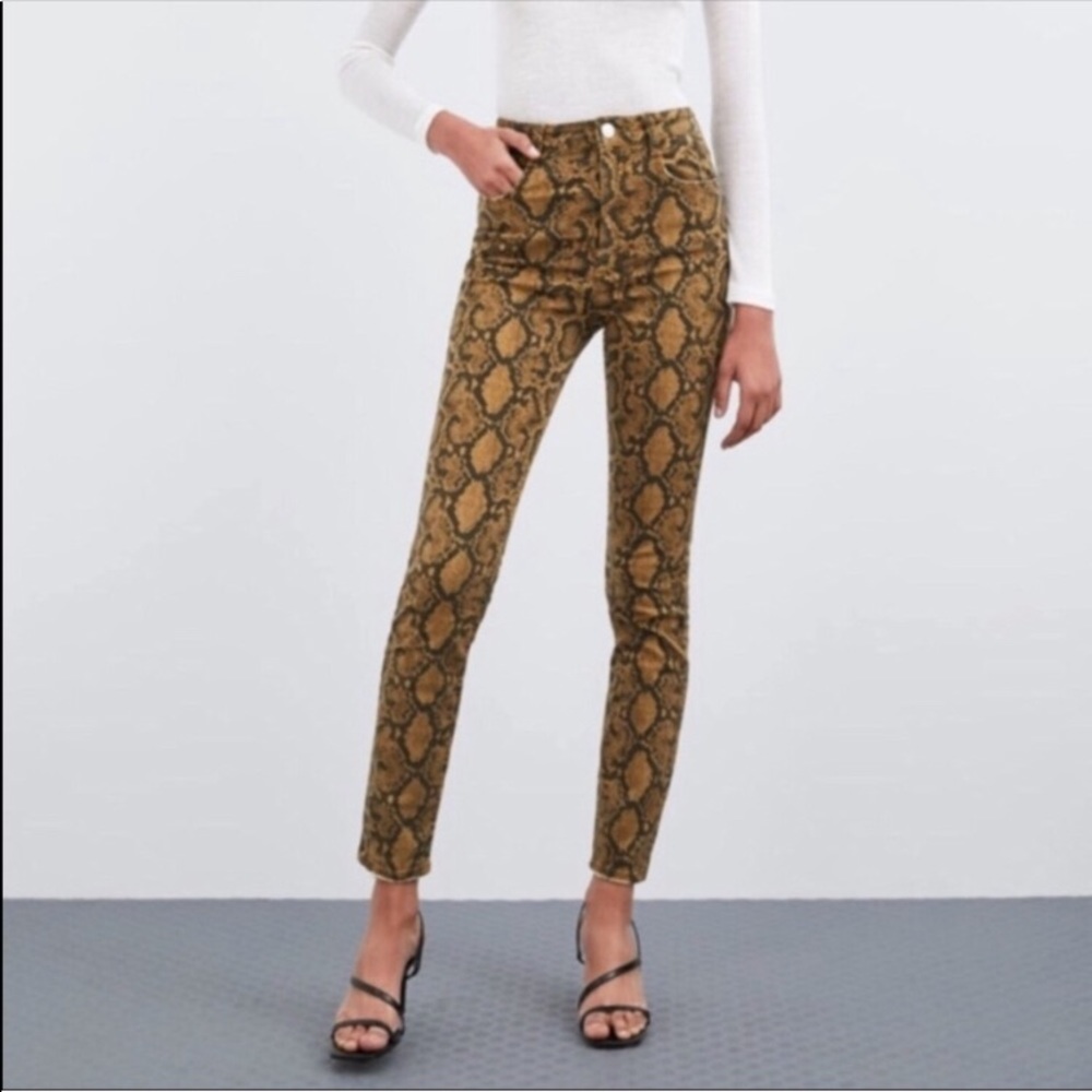 Pants